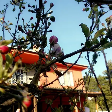 Doga Dag Evi * Bursa