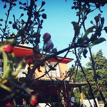 Doga Dag Evi Bursa