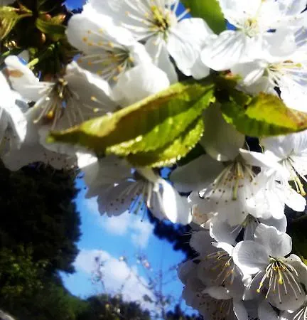 Konukevi Doga Dag Evi Bursa