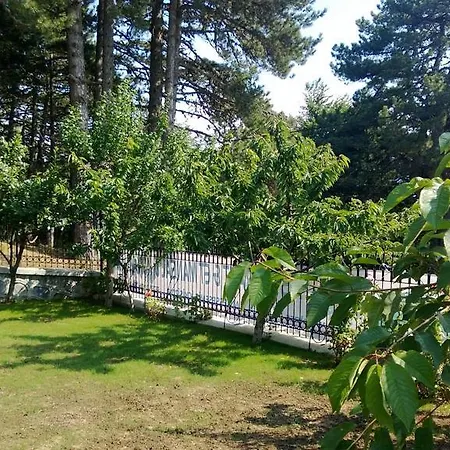 Doga Dag Evi *