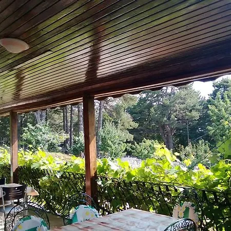 Konukevi Doga Dag Evi Bursa